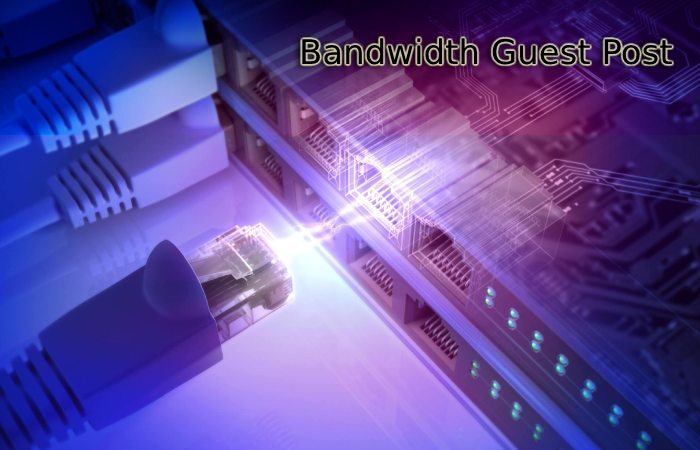 Bandwidth Guest Post