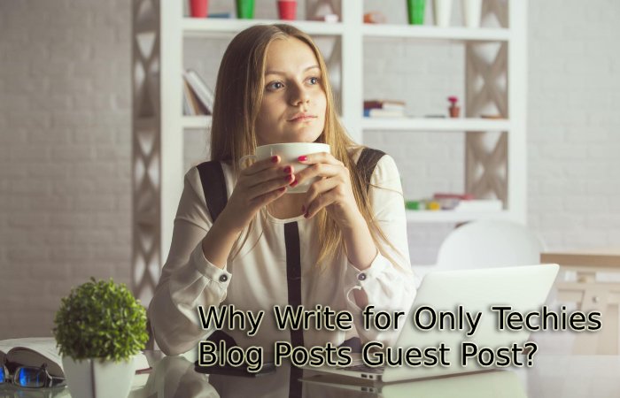 Why Write for Only Techies – Blog Posts Guest Post?